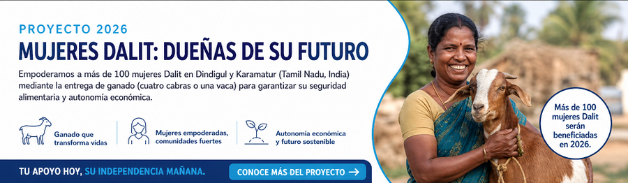 banner-proyecto-india-2026.png