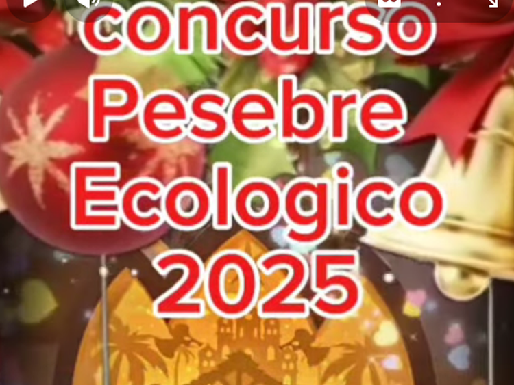 Fallo del Concurso «Pesebre Ecológico 2025»: Fe, Creatividad y Conciencia Ambiental