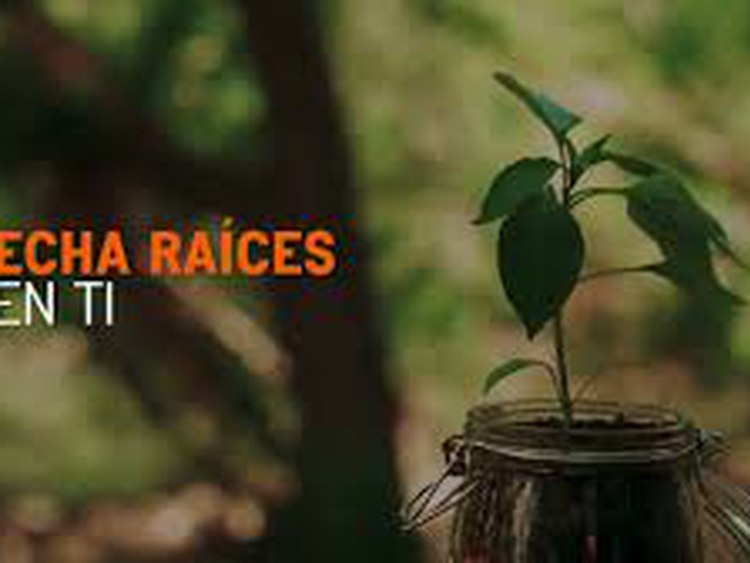 Cuestión de fe - 3º Domingo de Pascua, Ciclo A