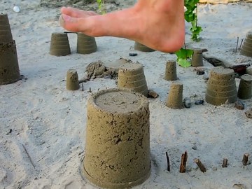 Trabajar por la paz - 4º Domingo del Tiempo Ordinario, Ciclo A