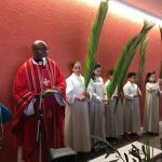 Domingo de Ramos 14.04.2019 Domingo de Ramos 14.04.2019