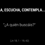 Vida que perdura