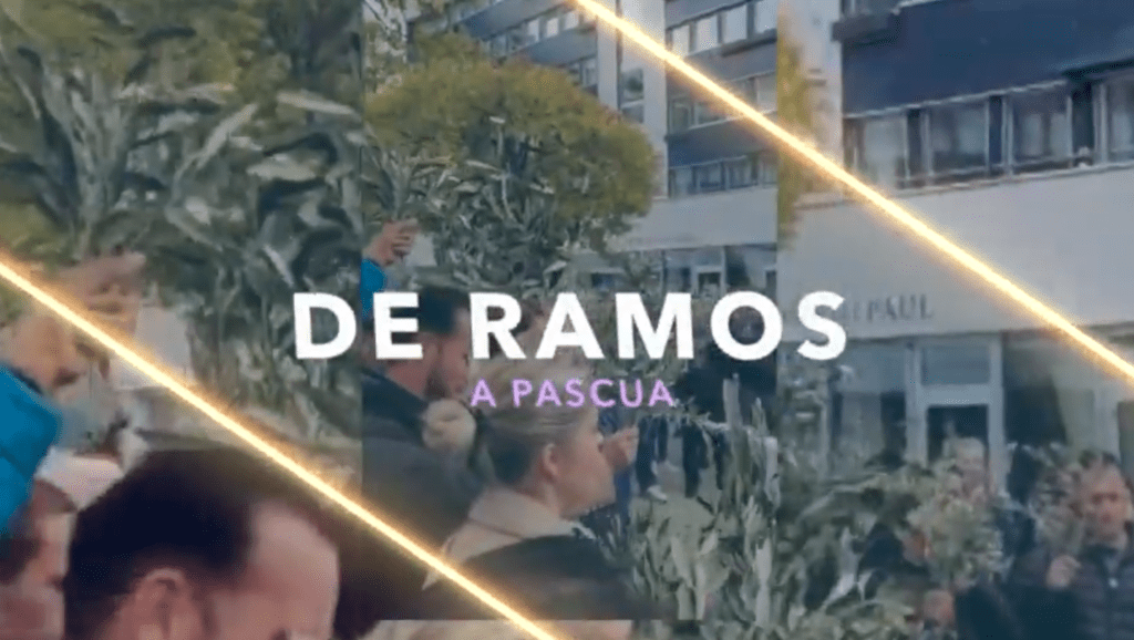 Domingo de Ramos - 2022 - De Ramos a Pascua