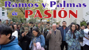 Ramos y palmas de PASIÓN