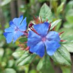 Comentario al evangelio 16.11.2025